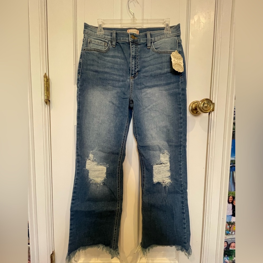 NWT altar’d state size 29 flare jeans